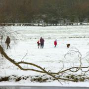 Water Meadows is described as the jewel in the crown of Sudbury