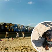 A town on the Suffolk coast has been named among one of the best dog-friendly holiday spots in the UK.