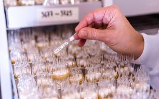 Norwich Research Park hosts the National Centre of Yeast Collection (NCYC), which stores 4,400 strains of yeast at the Quadram Institute