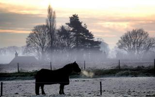 A cold weather alert has been issued for Suffolk this week