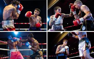 Clockwise from top left: Jack Williams, Eilish Tierney, Austin McGregor and Gideon Jonas all won their pro boxing bouts at Trinity Park on Saturday