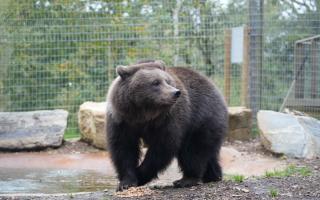 Brunhilda has arrived in Suffolk after escaping war, corruption and political turmoil