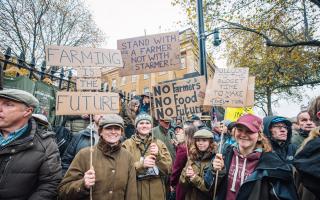 Suffolk writer Richard Negus attended the Farmers' Rally in London on Tuesday